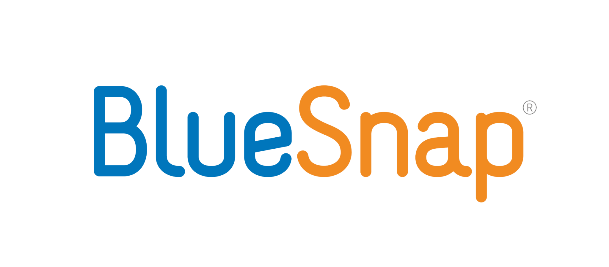 Bluesnap Logo Color